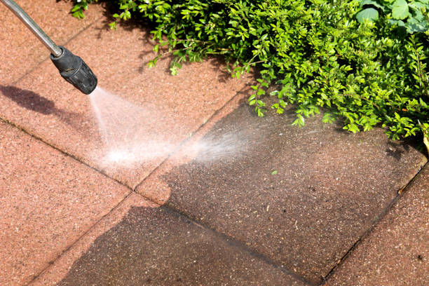 Best Roof Pressure Washing  in Claremont, NC